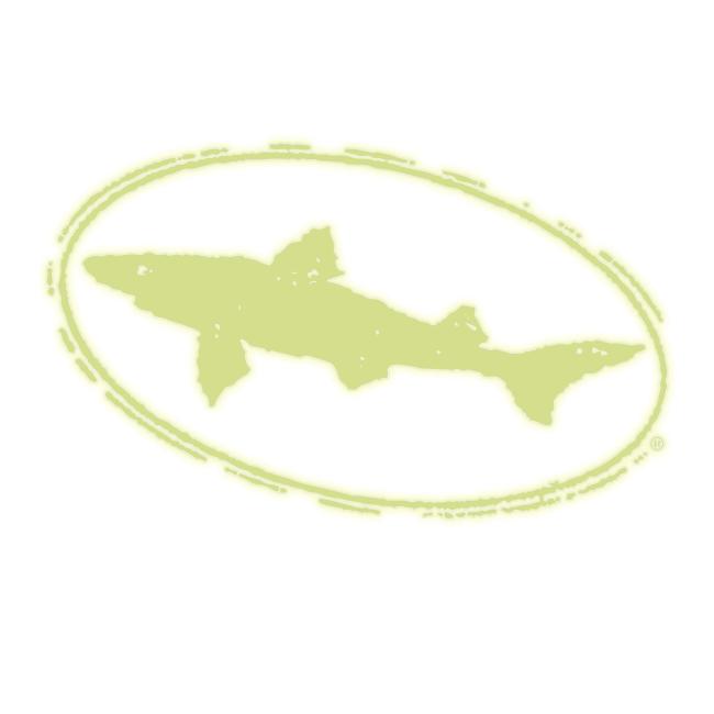 Shark & Sheild Logo Decal