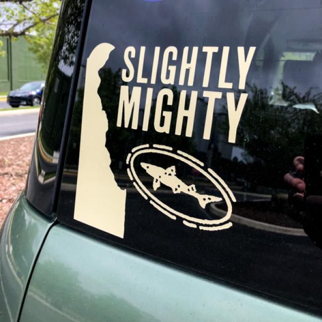 SlightlyMighty-Decal-2.jpg