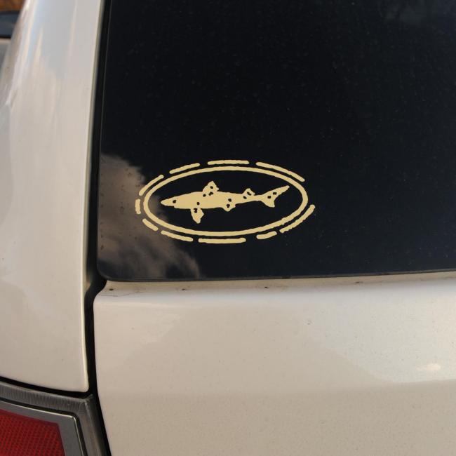 DOGFISH HEAD dog fish star off-centered STICKER decal craft beer brewing brewery 