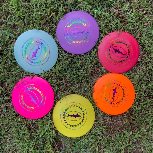 Dogfish Head Driver Discs in Pink, Red, Orange, Yellow, Blue, and Purple On The Ground In a Circle