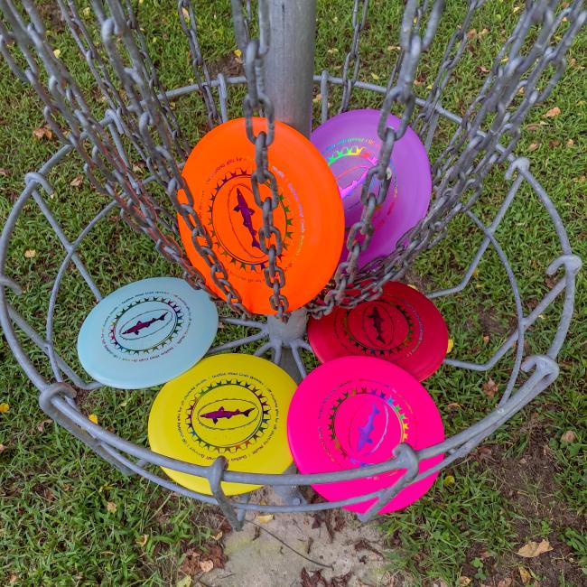 Dogfish Head Driver Discs in Pink, Red, Orange, Yellow, Blue, and Purple in a Disc Golf Basket