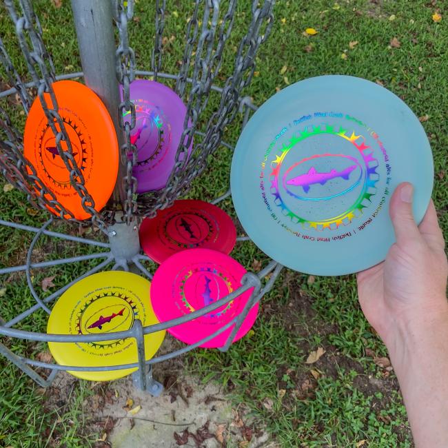 Dogfish Head Driver Discs in Pink, Red, Orange, Yellow, Blue, and Purple in a Disc Golf Basket With Blue Being Taken Out