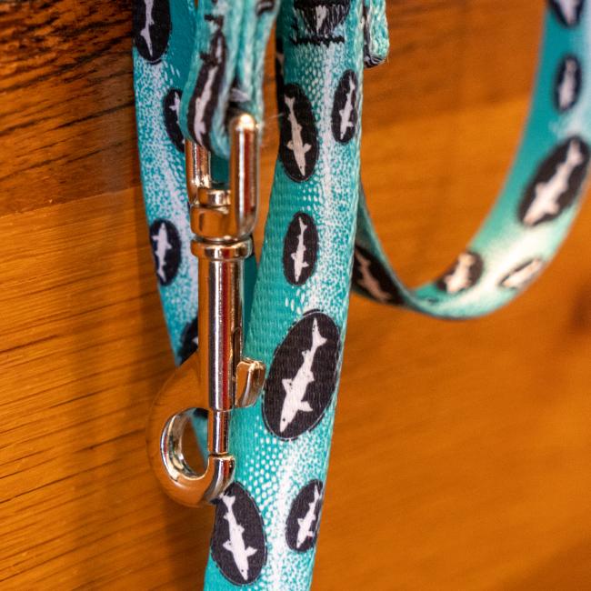 Teal Dog Leash