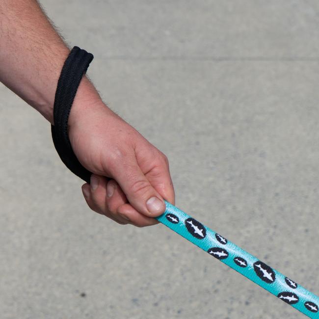 Teal Dog Leash