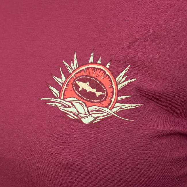 Close-Up to Citrus Squall Logo