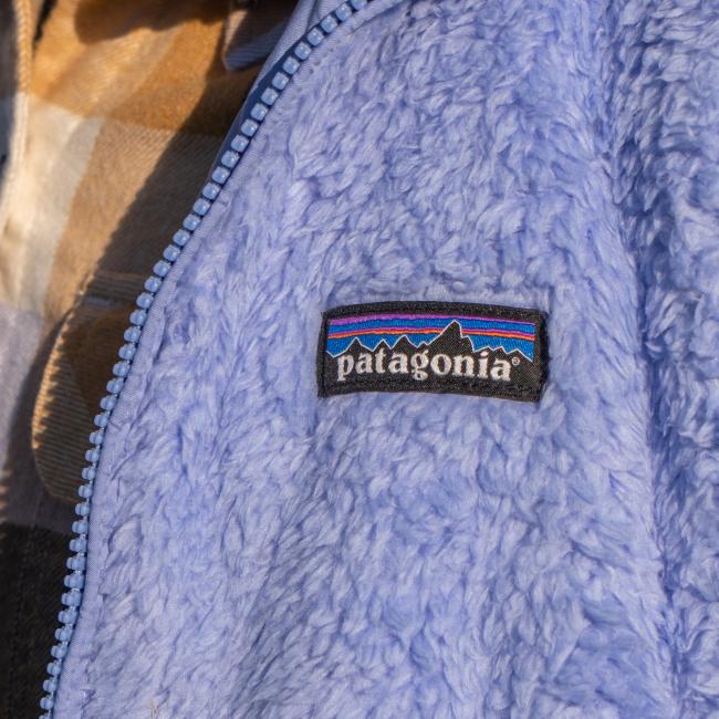 Patagonia logo close up