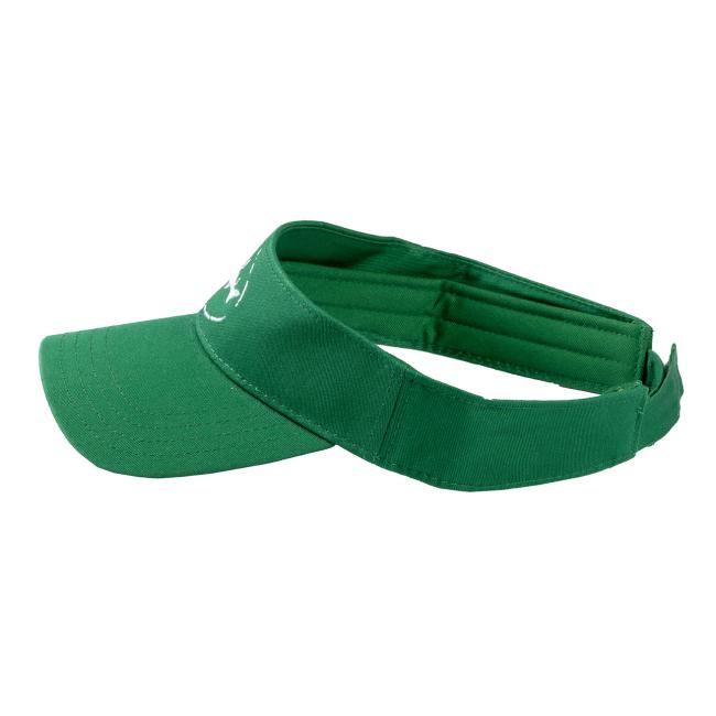 Shark and Shield Visor