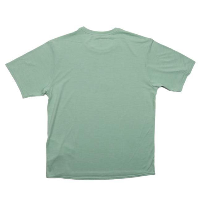 Plain back view of the green Dogfish Head x Patagonia short sleeve performance tee with no graphics or text.