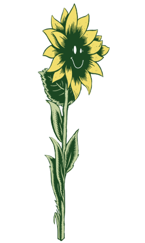 Smiling Sunflower Illustration looking to the right