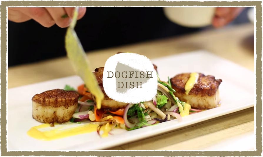 90 Minute IPA Dogfish Dish Clip Poster
