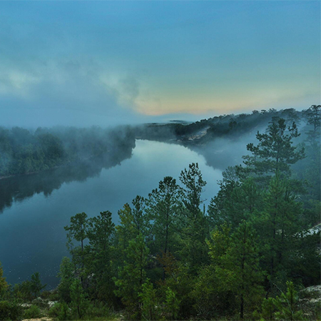 Apalachicola Bluffs and Ravines Preserve Apalachicola Bluffs and Ravines Preserve