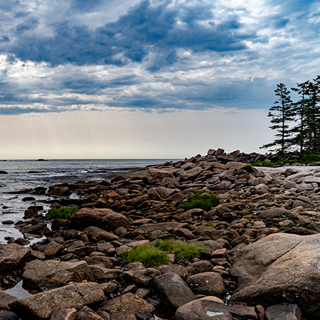 Great Wass Island Preserve Great Wass Island Preserve