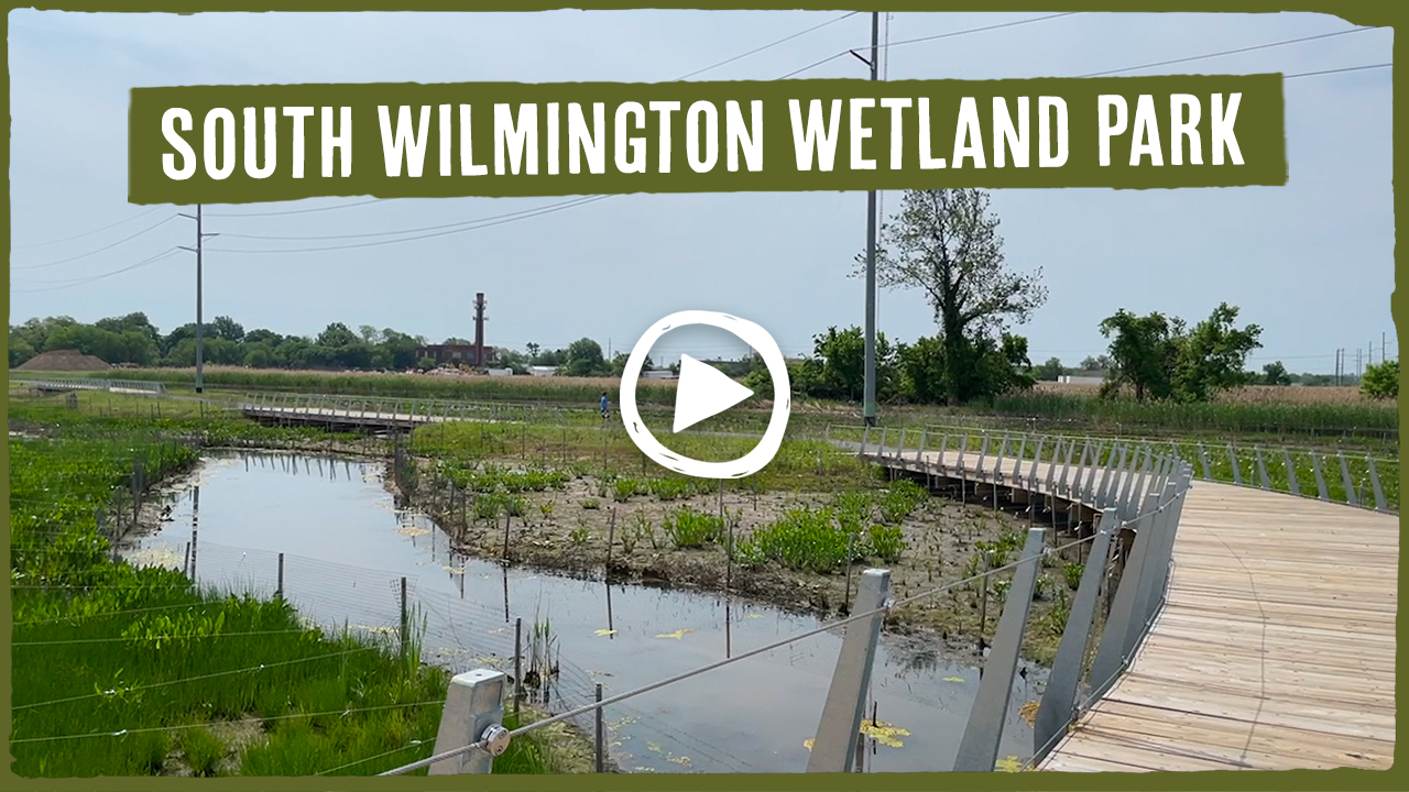 Wilmington, Delaware - Urban Stormwater, Tidal Flooding and Green Infrastructure